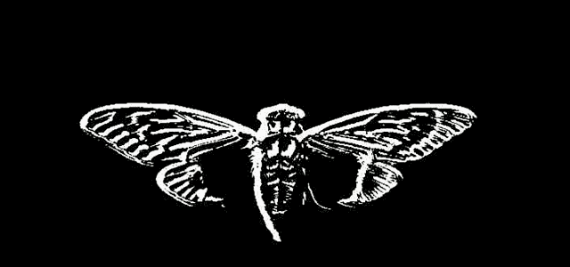 Вероятный автор загадки Cicada 3301 - 1