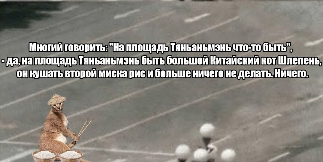 зодумойтесь