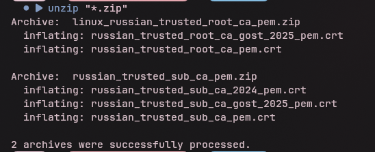 Терминал с выводом unzip