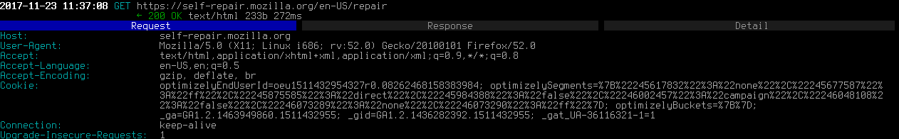 Иногда браузер делает запрос на "self-repair.mozilla.org"