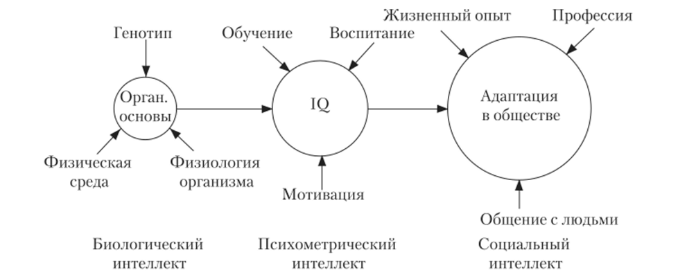 Типы концепций интеллекта по Г. Ю. Айзенку