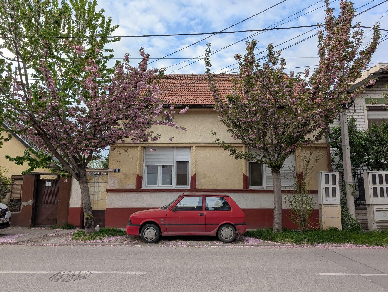 Сербия застряла в прошлом? О жизни в стране, похожей на Россию 2010-х - 1