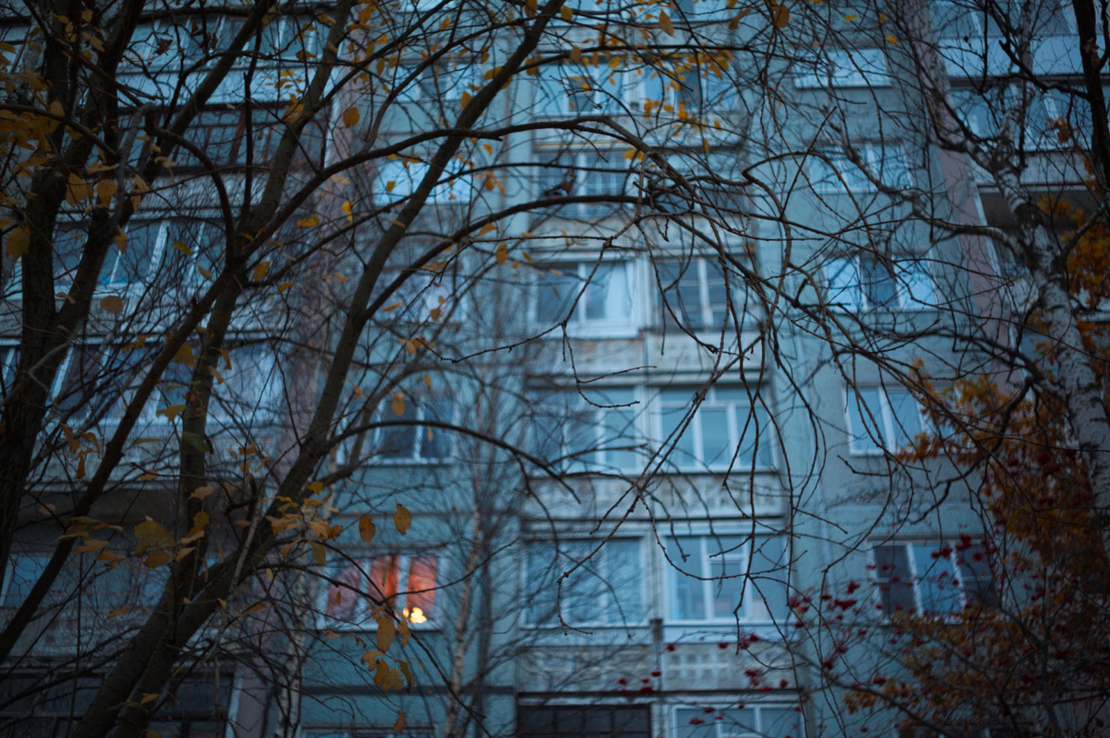 Снимаю на советские фотообъективы и радуюсь - 16 Снимаю на советские фотообъективы и радуюсь - 16