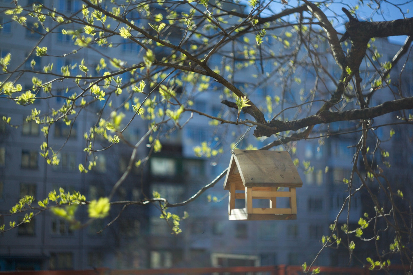 Снимаю на советские фотообъективы и радуюсь - 2 Снимаю на советские фотообъективы и радуюсь - 2