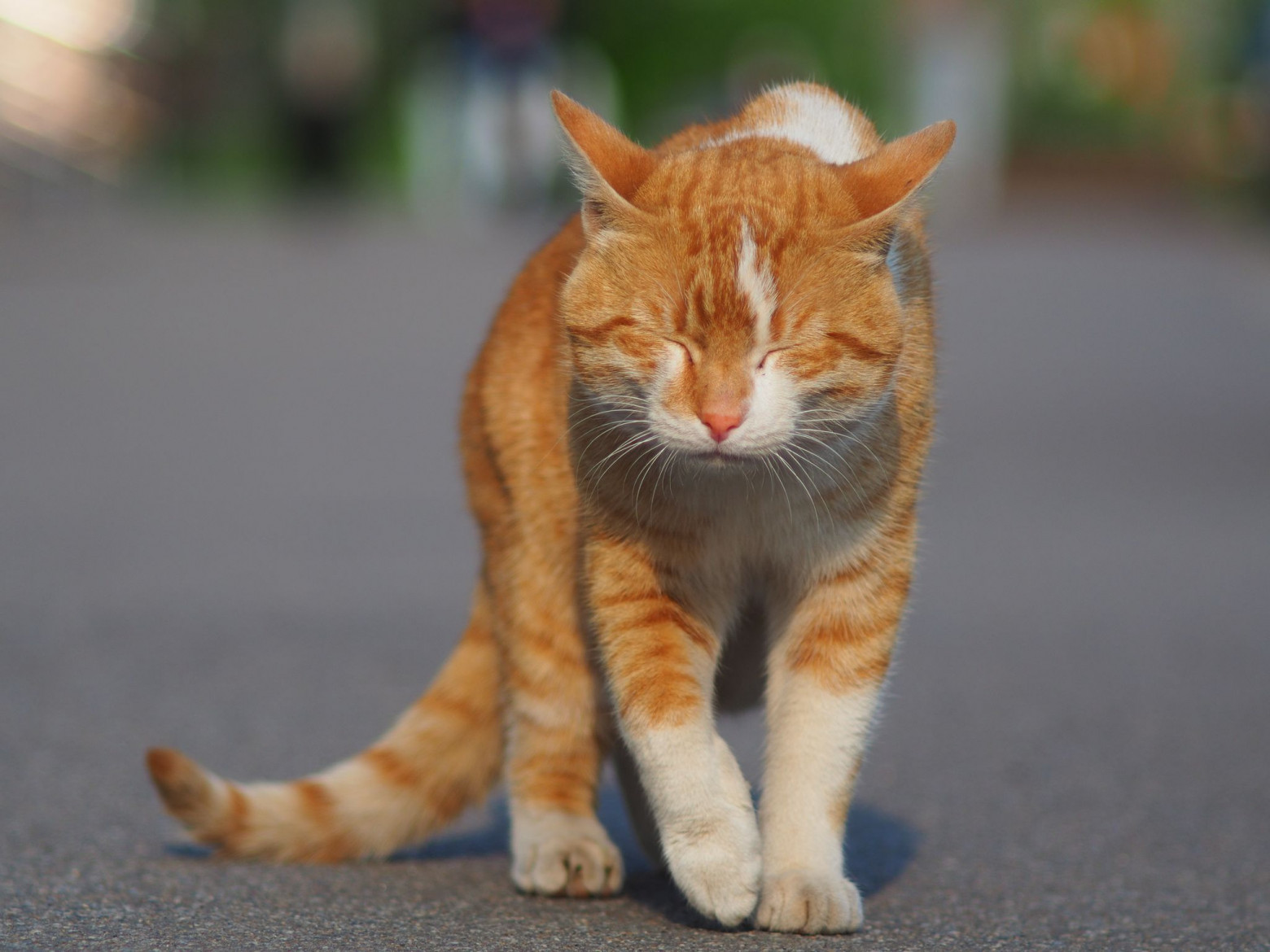 Снимаю на советские фотообъективы и радуюсь - 22 Снимаю на советские фотообъективы и радуюсь - 22