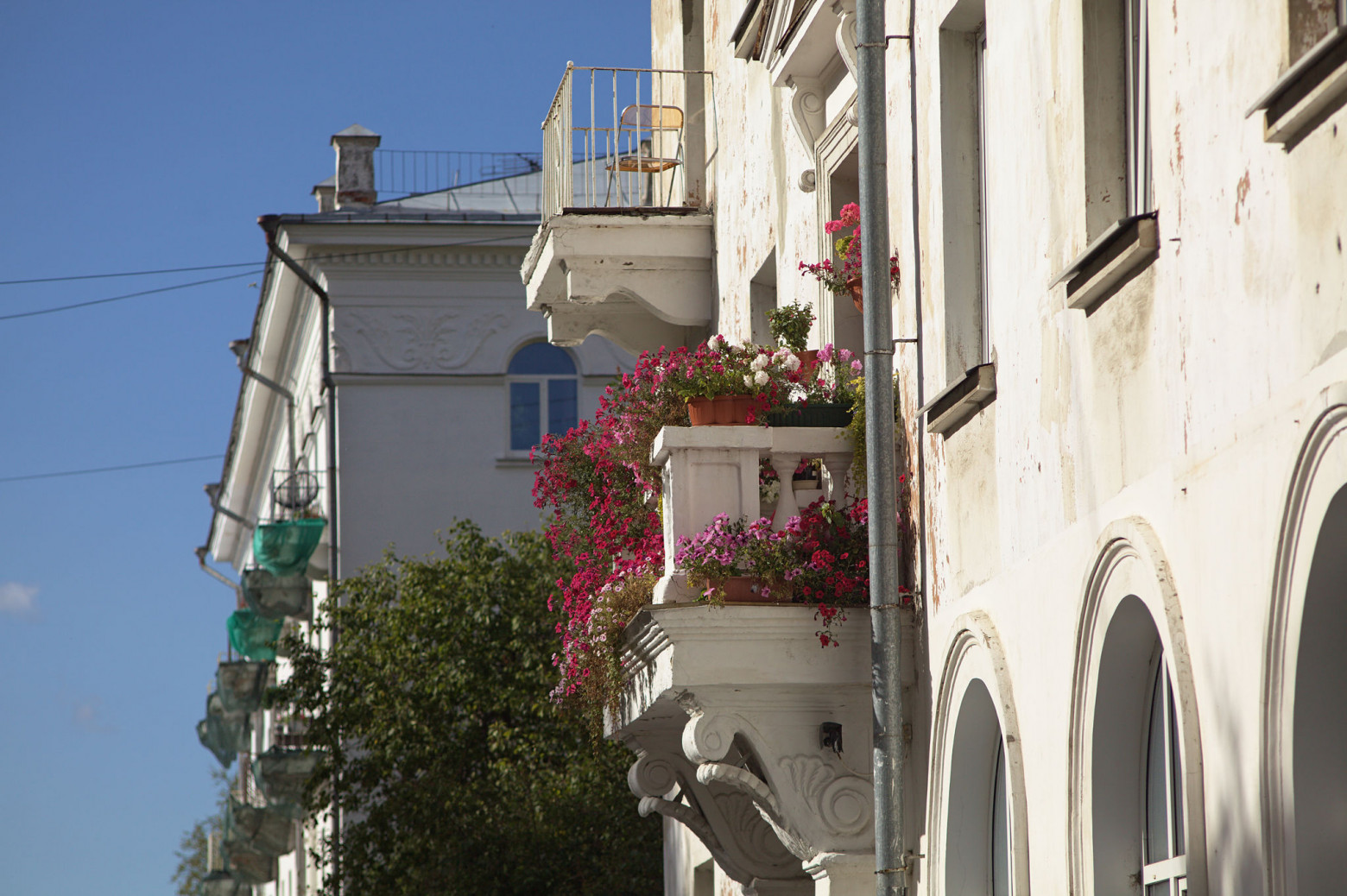 Снимаю на советские фотообъективы и радуюсь - 25 Снимаю на советские фотообъективы и радуюсь - 25