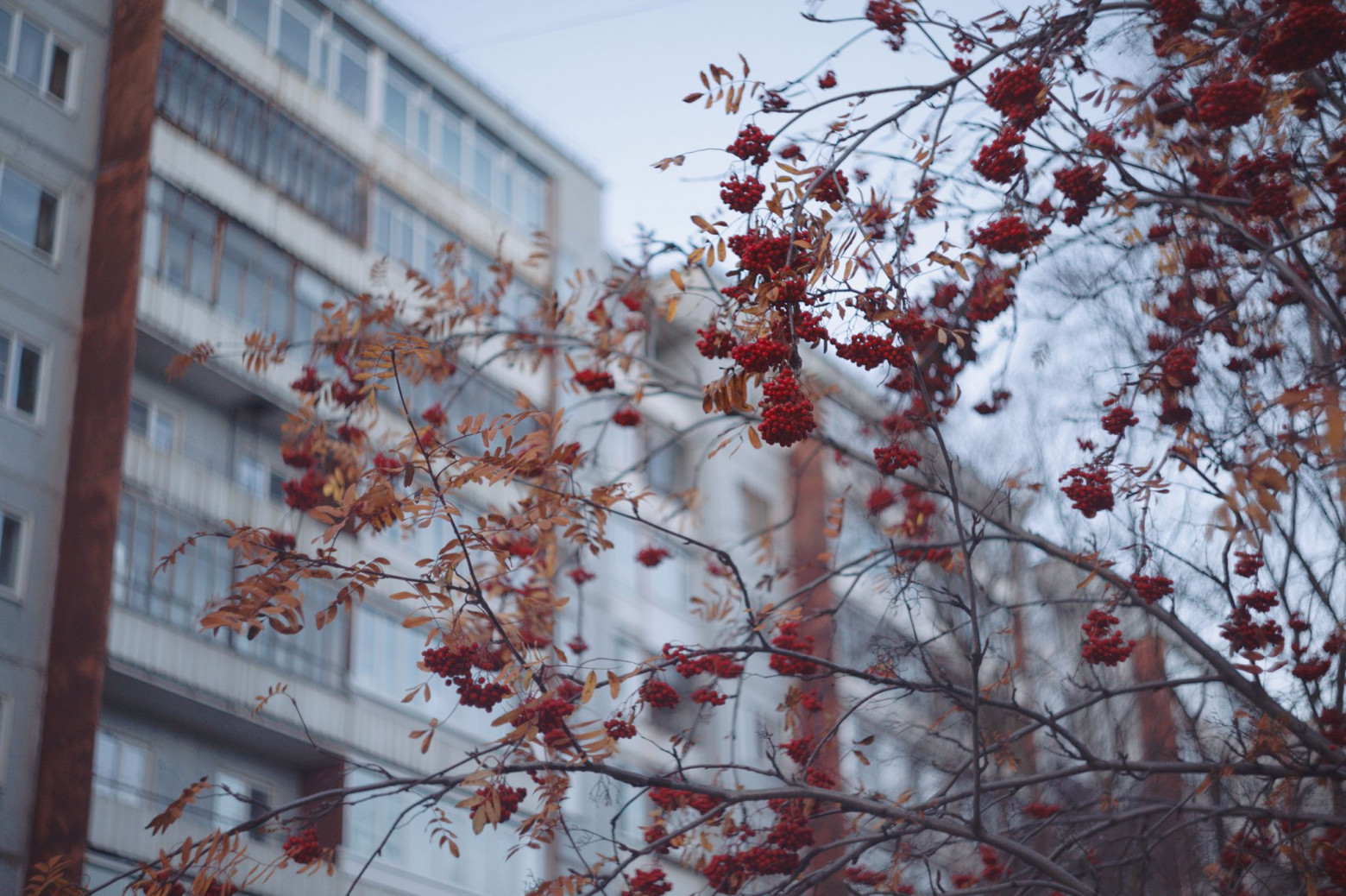 Снимаю на советские фотообъективы и радуюсь - 36 Снимаю на советские фотообъективы и радуюсь - 36