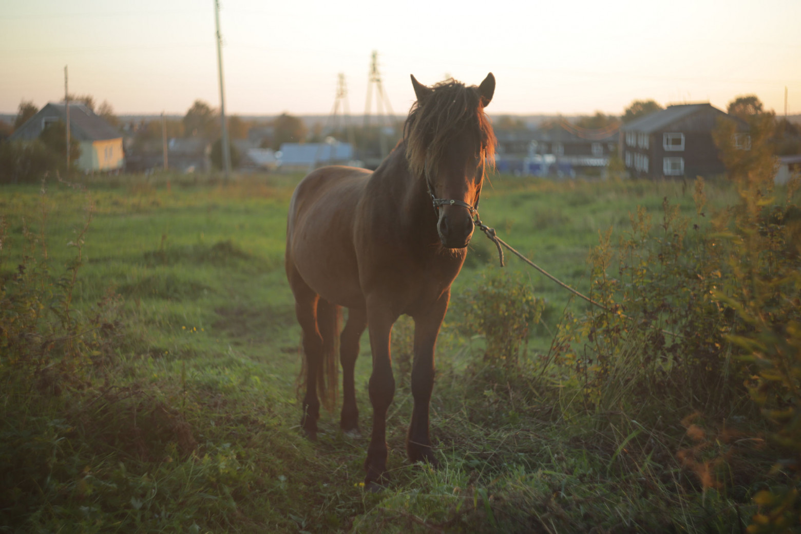 Снимаю на советские фотообъективы и радуюсь - 40 Снимаю на советские фотообъективы и радуюсь - 40