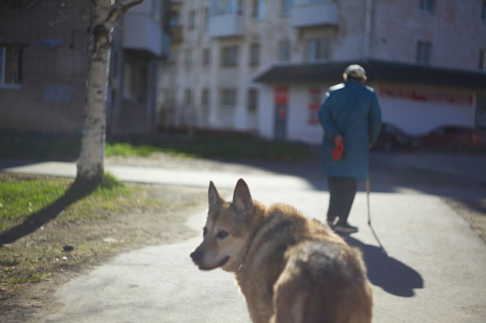 Снимаю на советские фотообъективы и радуюсь - 41 Снимаю на советские фотообъективы и радуюсь - 41