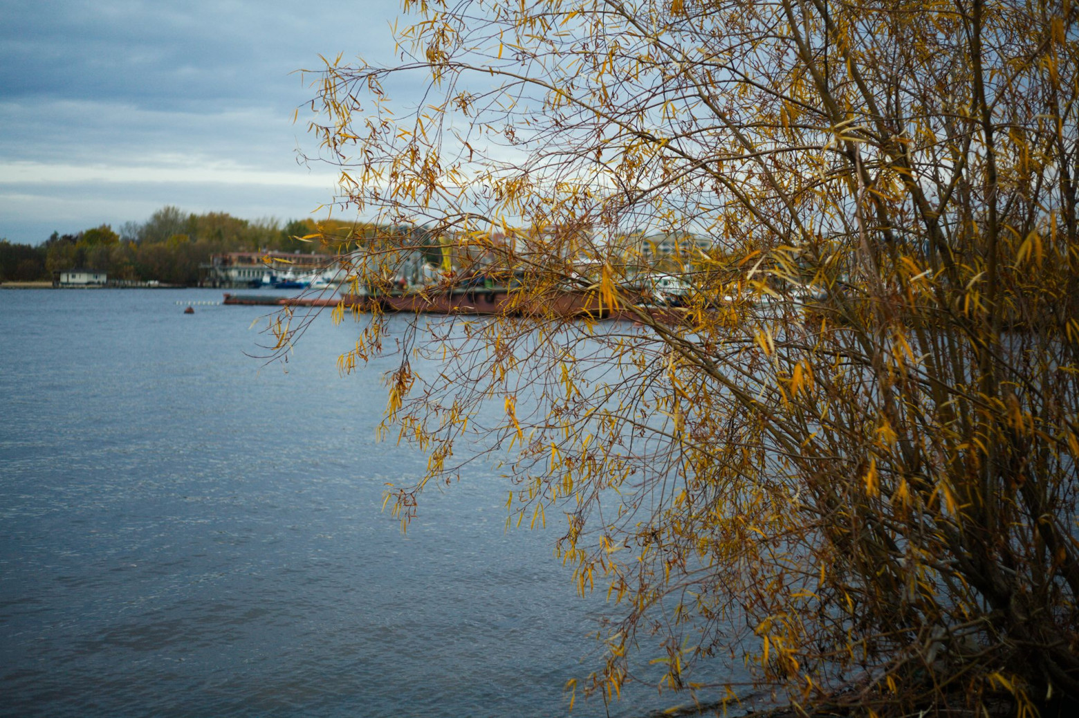 Снимаю на советские фотообъективы и радуюсь - 51 Снимаю на советские фотообъективы и радуюсь - 51