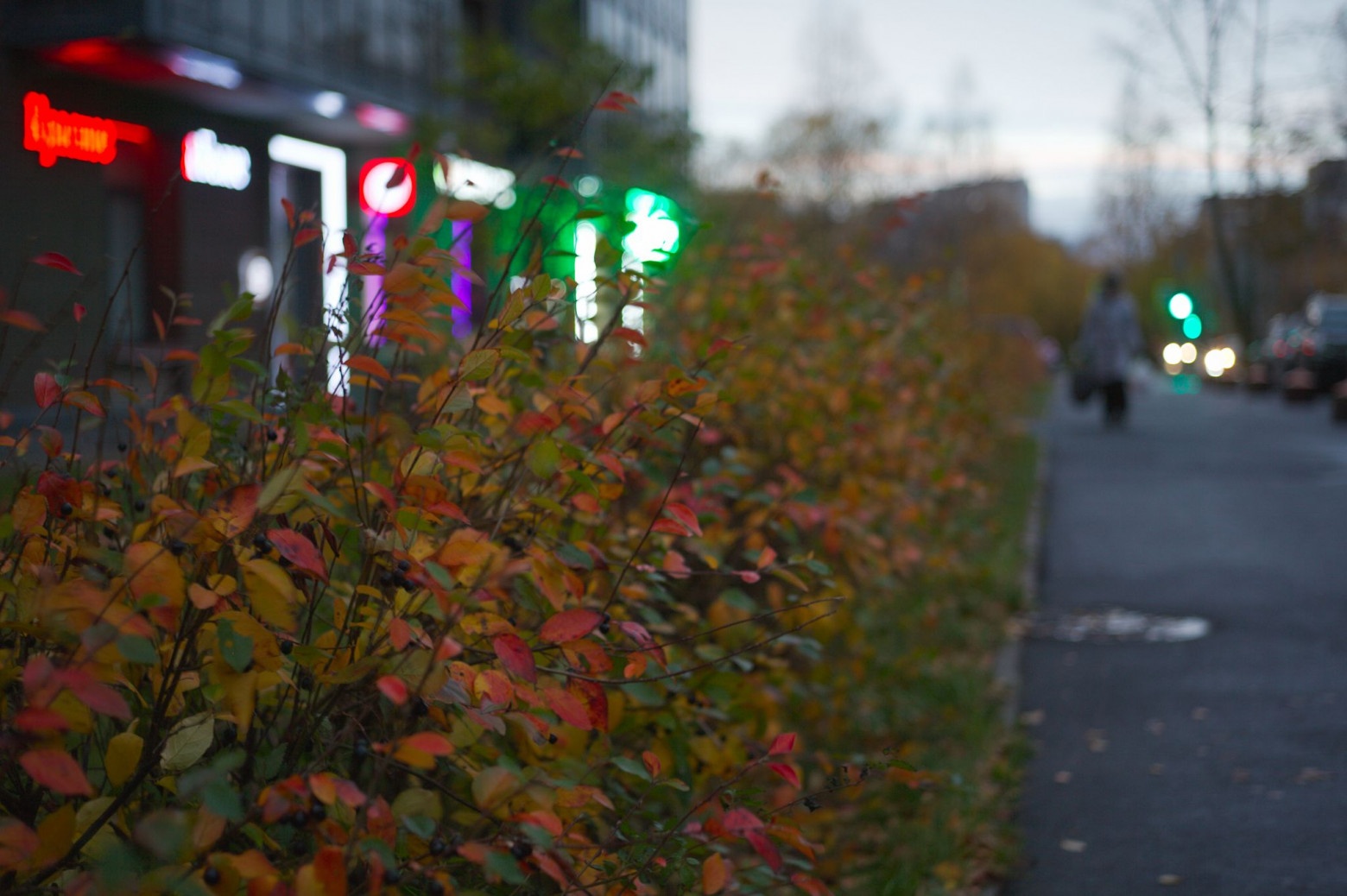 Снимаю на советские фотообъективы и радуюсь - 52 Снимаю на советские фотообъективы и радуюсь - 52