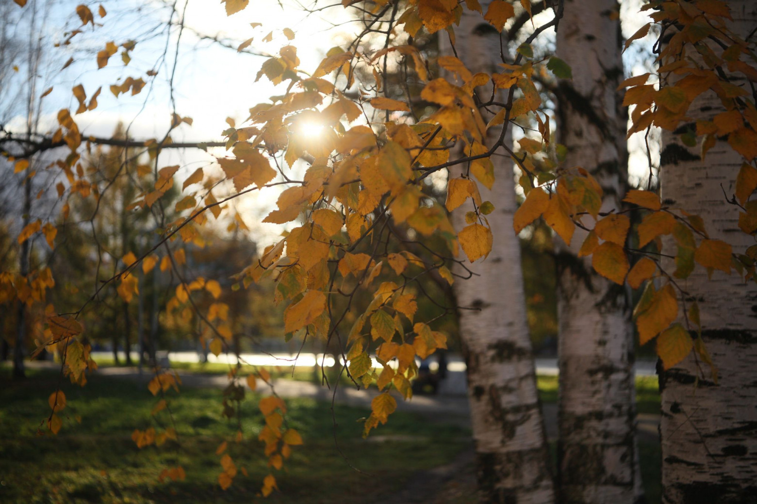 Снимаю на советские фотообъективы и радуюсь - 6 Снимаю на советские фотообъективы и радуюсь - 6