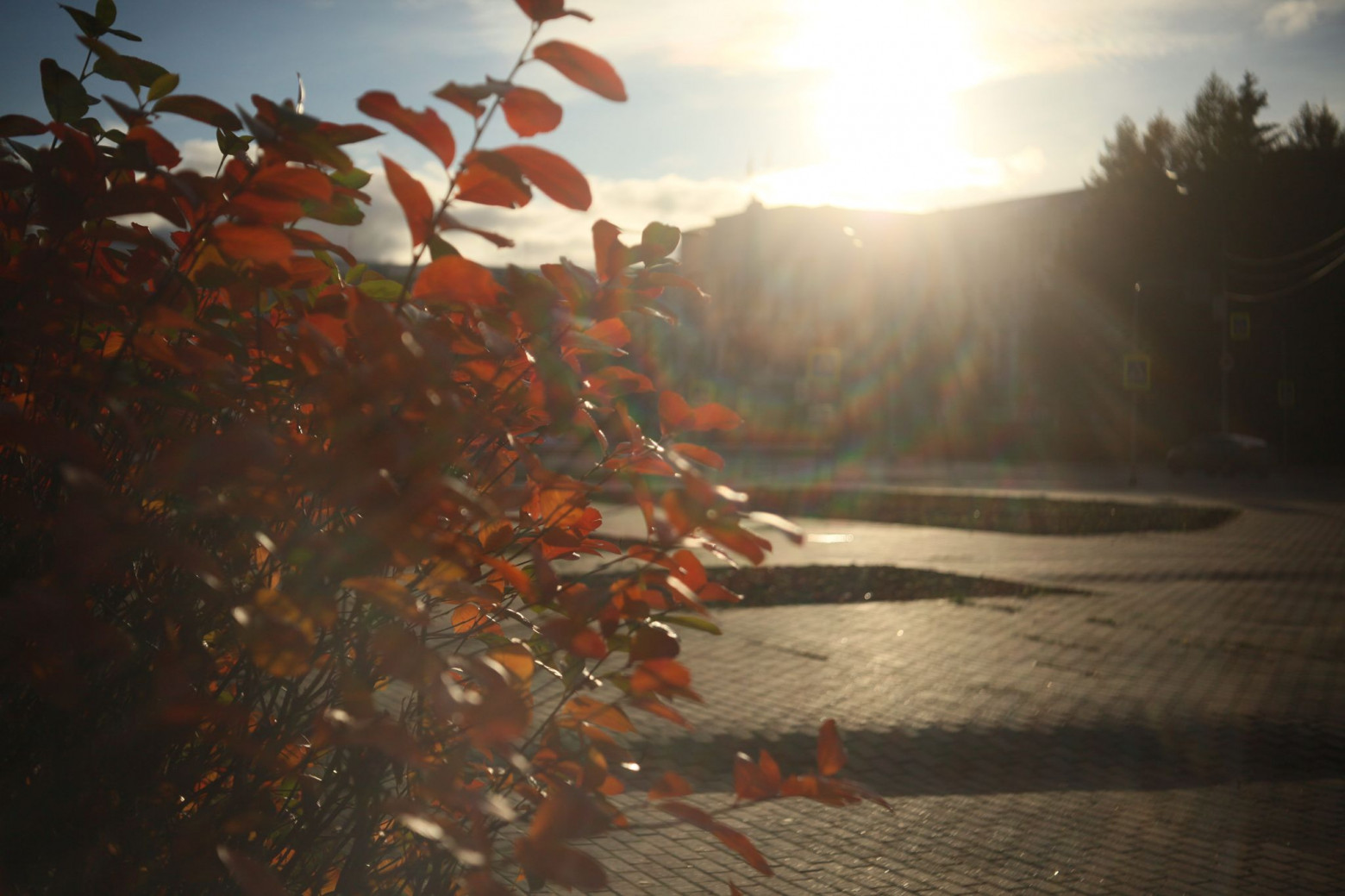 Снимаю на советские фотообъективы и радуюсь - 8 Снимаю на советские фотообъективы и радуюсь - 8