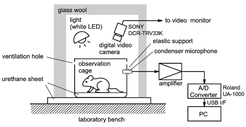 Методология правильного научного подслушивания и подглядывания с камерой Sony DCR-TRV33K