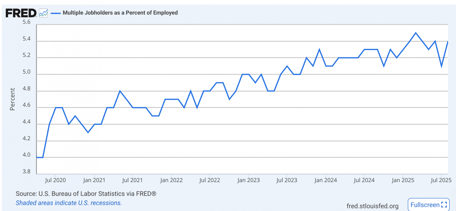 В американской компании со штатом 100 сотрудников, 5 человек будет иметь несколько работ (и это включает не-IT)