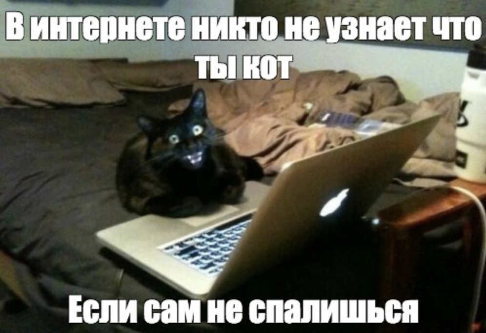 Как забытый API-ключ открыл нам мир мошенников - 4