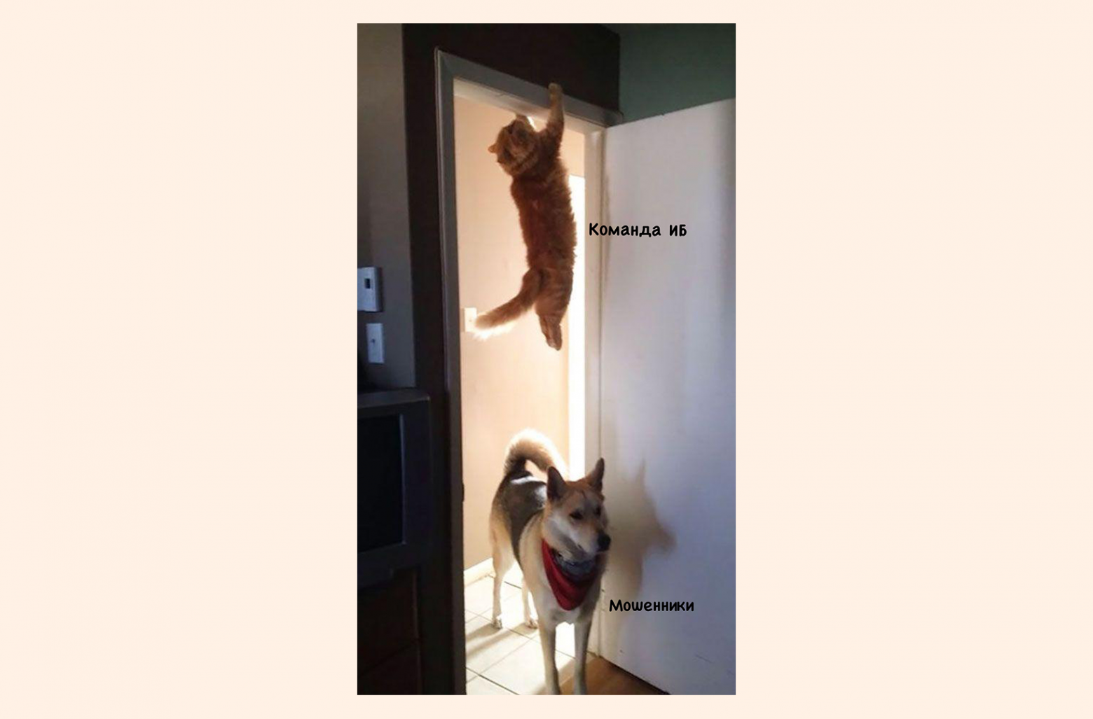 Как забытый API-ключ открыл нам мир мошенников - 1