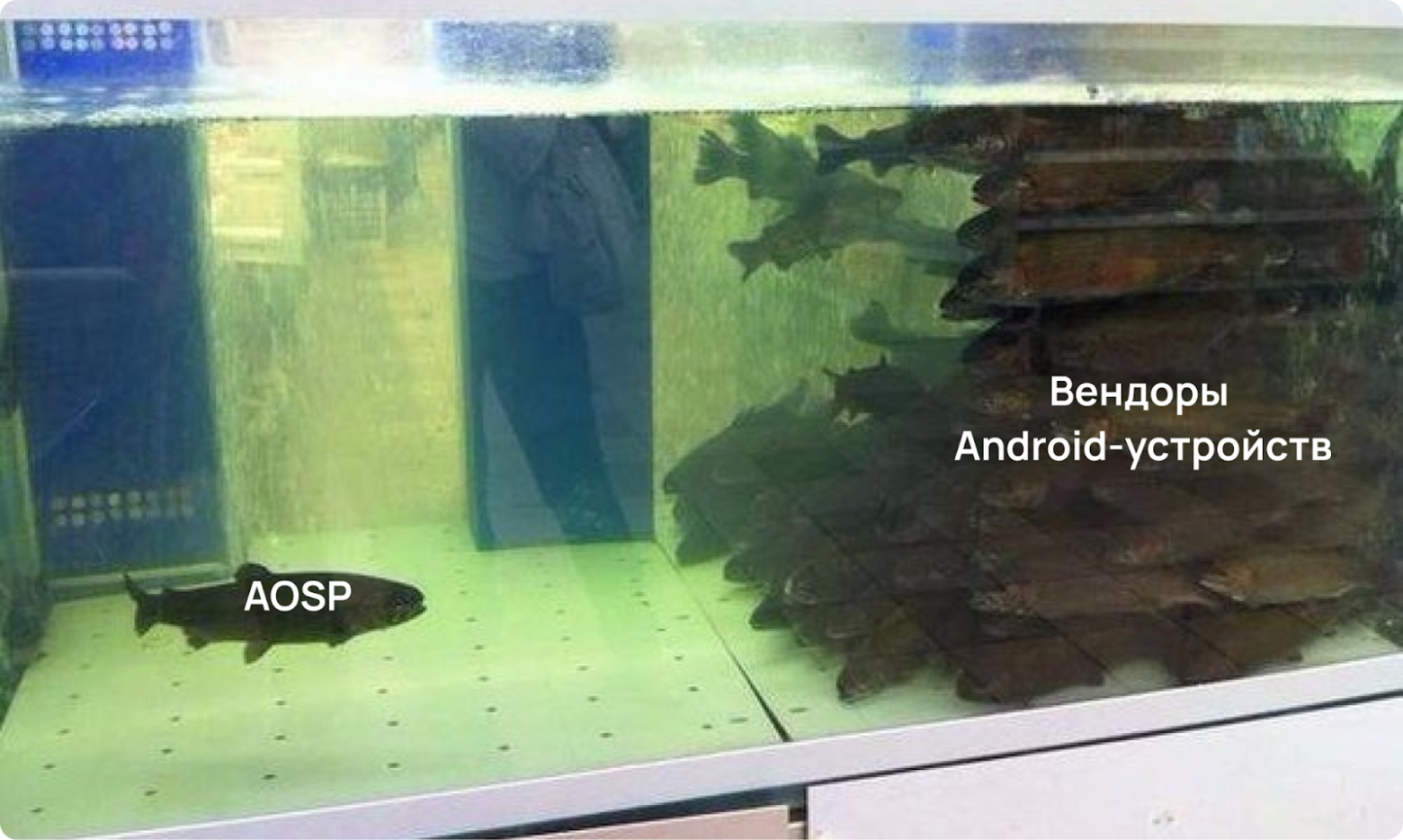 А сколько вендоров Android вы сможете назвать?