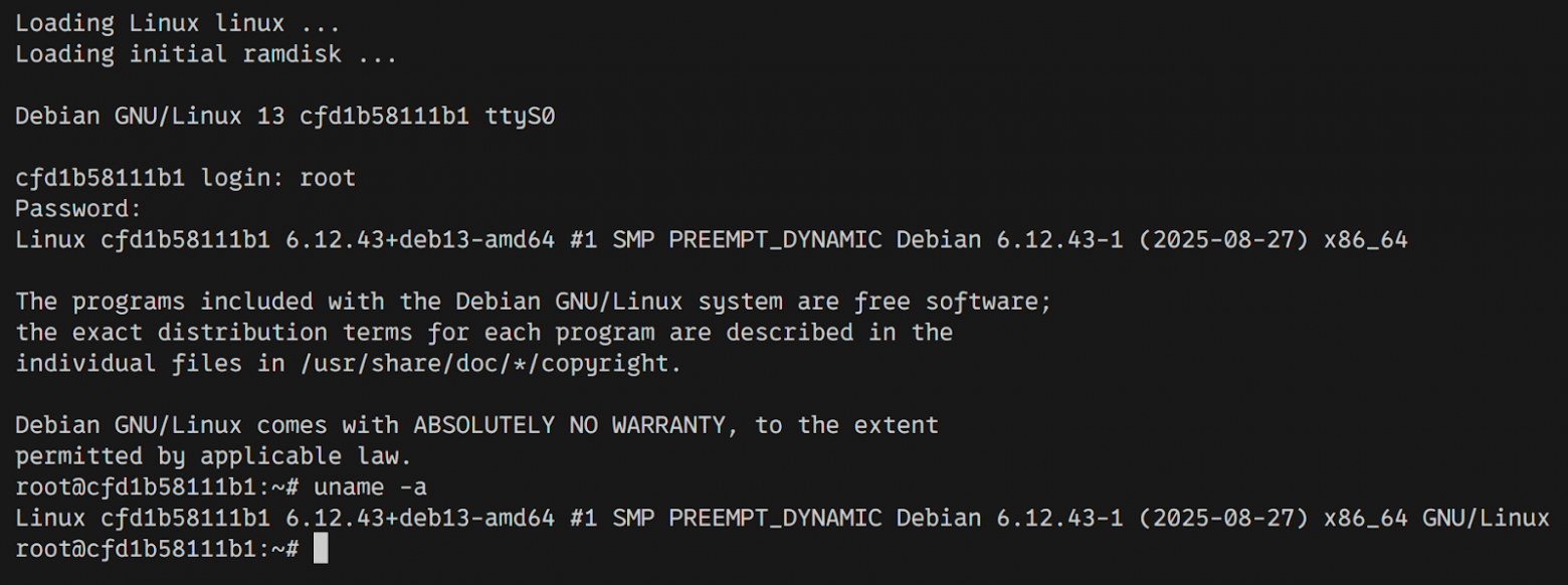 Работающая виртуальная машина