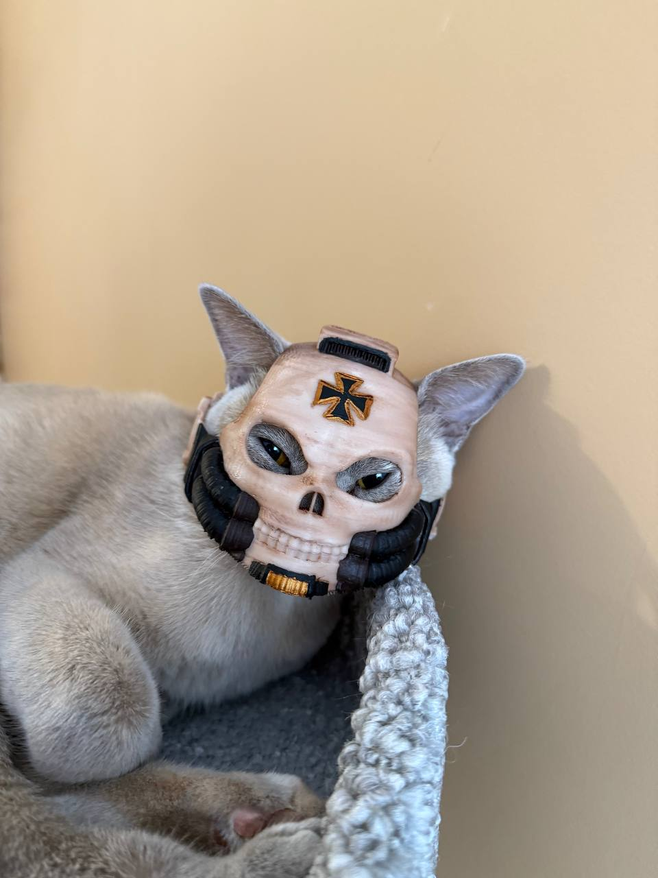 ...In the name of the God-Emperor.