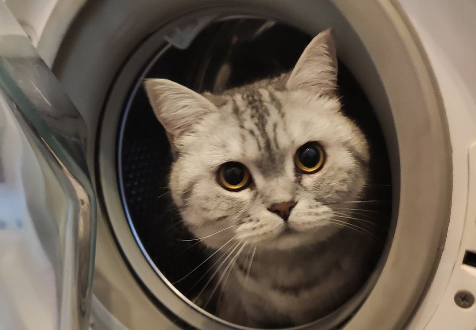 Бытовой UX, или зачем в стиралке иллюминатор - 1