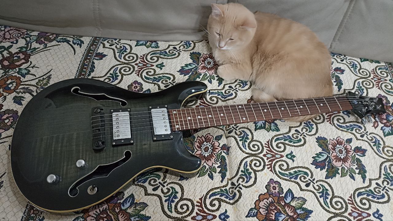 Классический фленджер Harley-Benton - 8