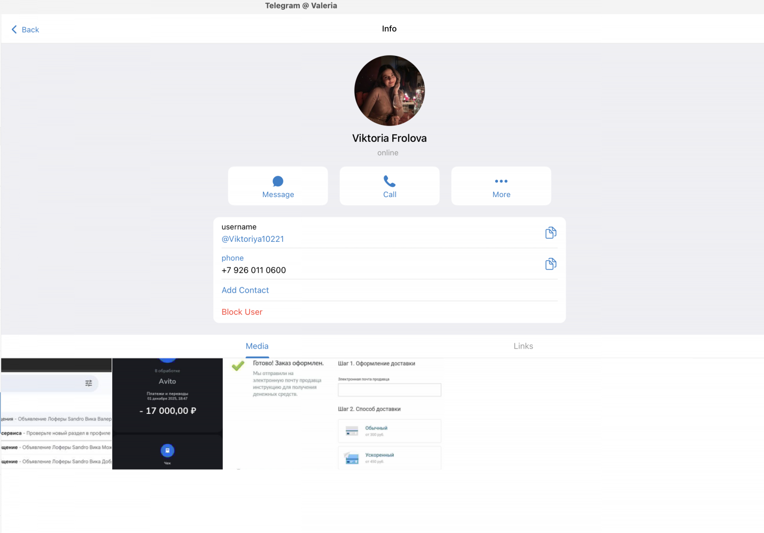 Профиль мошенника в Telegram