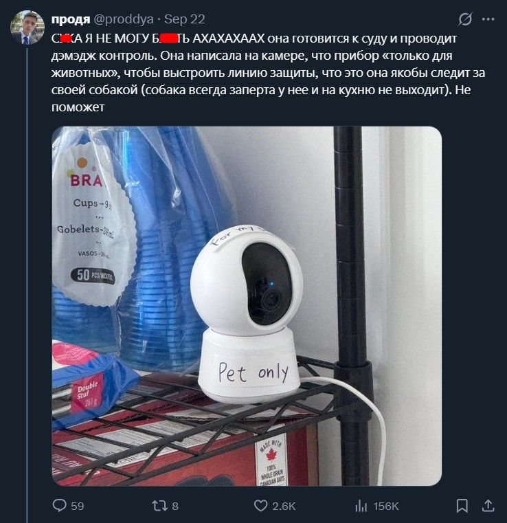 Кто-нибудь, найдите плз на Порнхабе видеозаписи соседки Проди – вот это будет номер!