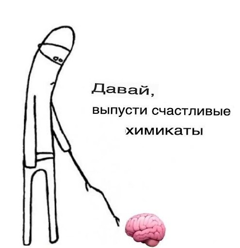 Спорт, мозг и депрессия: инструкция для тех, у кого нет сил - 2