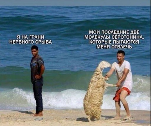 Спорт, мозг и депрессия: инструкция для тех, у кого нет сил - 5