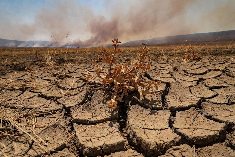 2025-й обгоняет прогнозы и станет одним из самых жарких в истории наблюдений