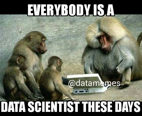 Обезьянья предобработка данных