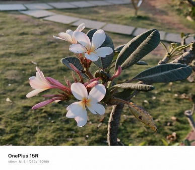 7400 мАч, 80 Вт, Snapdragon 8 Gen 5, IP69 и та же основная камера, что у OnePlus 15. Опубликованы фото, сделанные камерой OnePlus 15R