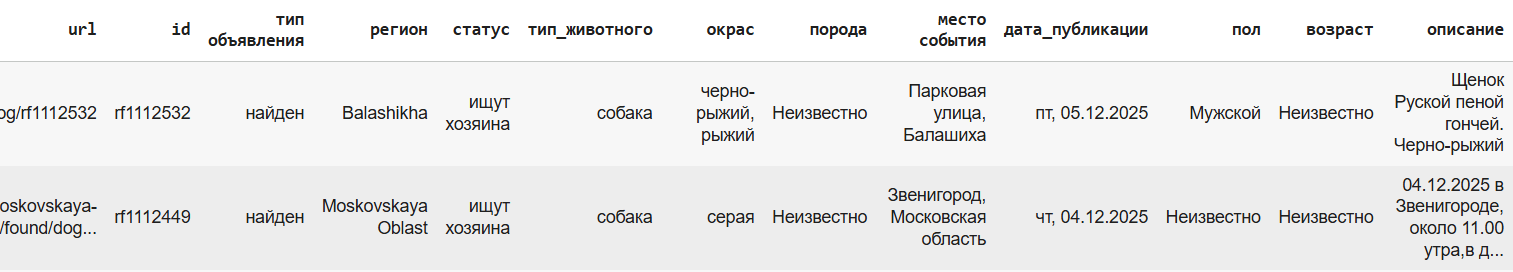Рис.  1. Фрагмент таблицы датасета найденных животных.