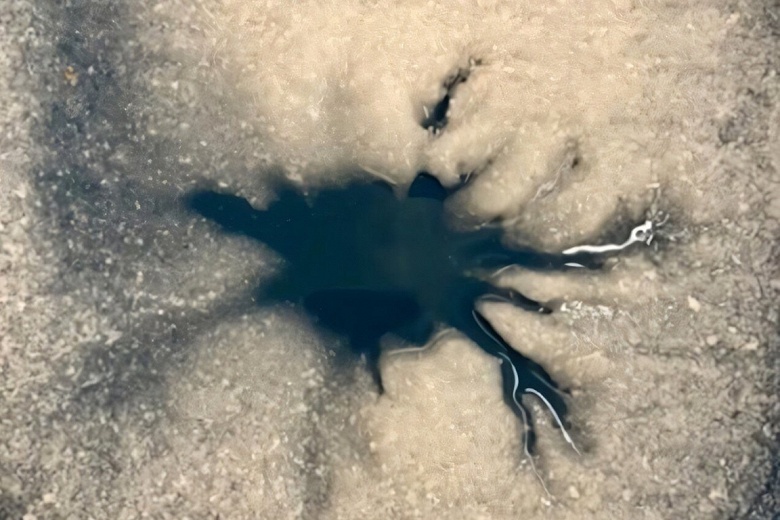 &laquo;Паук&raquo; на Европе: необычная трещина во льду спутника Юпитера усилила надежды на скрытый океан и жизнь