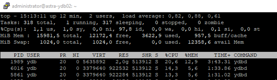 Рис.7.1 Ноды кластера без нагрузки со стороны Linux