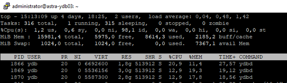 Рис.7.1 Ноды кластера без нагрузки со стороны Linux