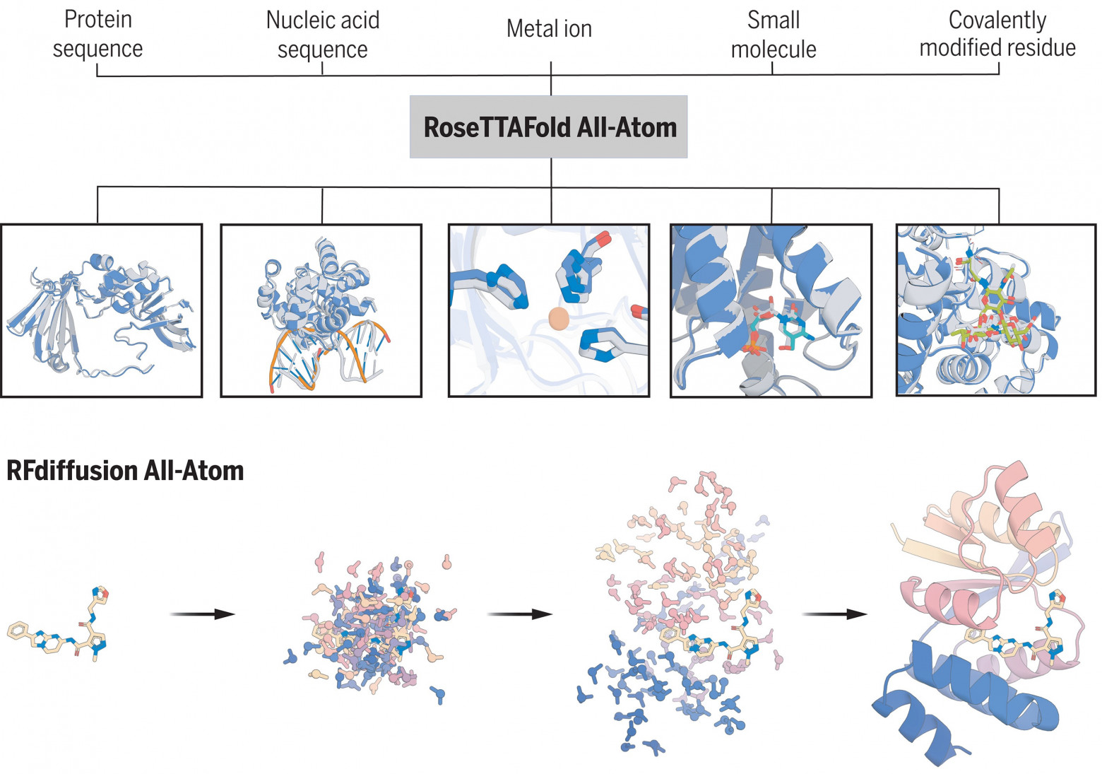  (Взято с science.org)