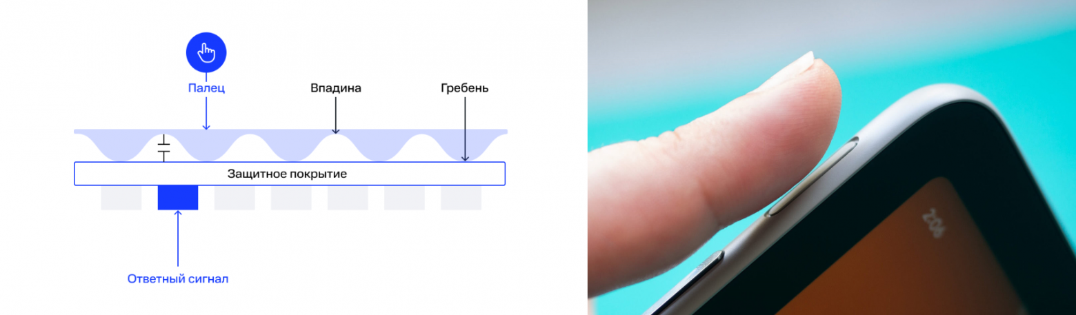 Схема работы емкостного сканера