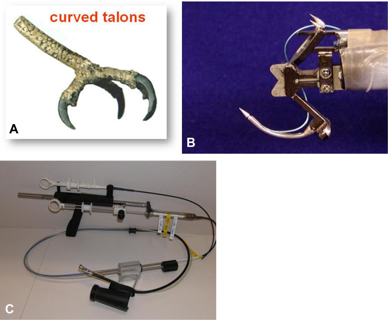 Прототип «орлиный коготь»