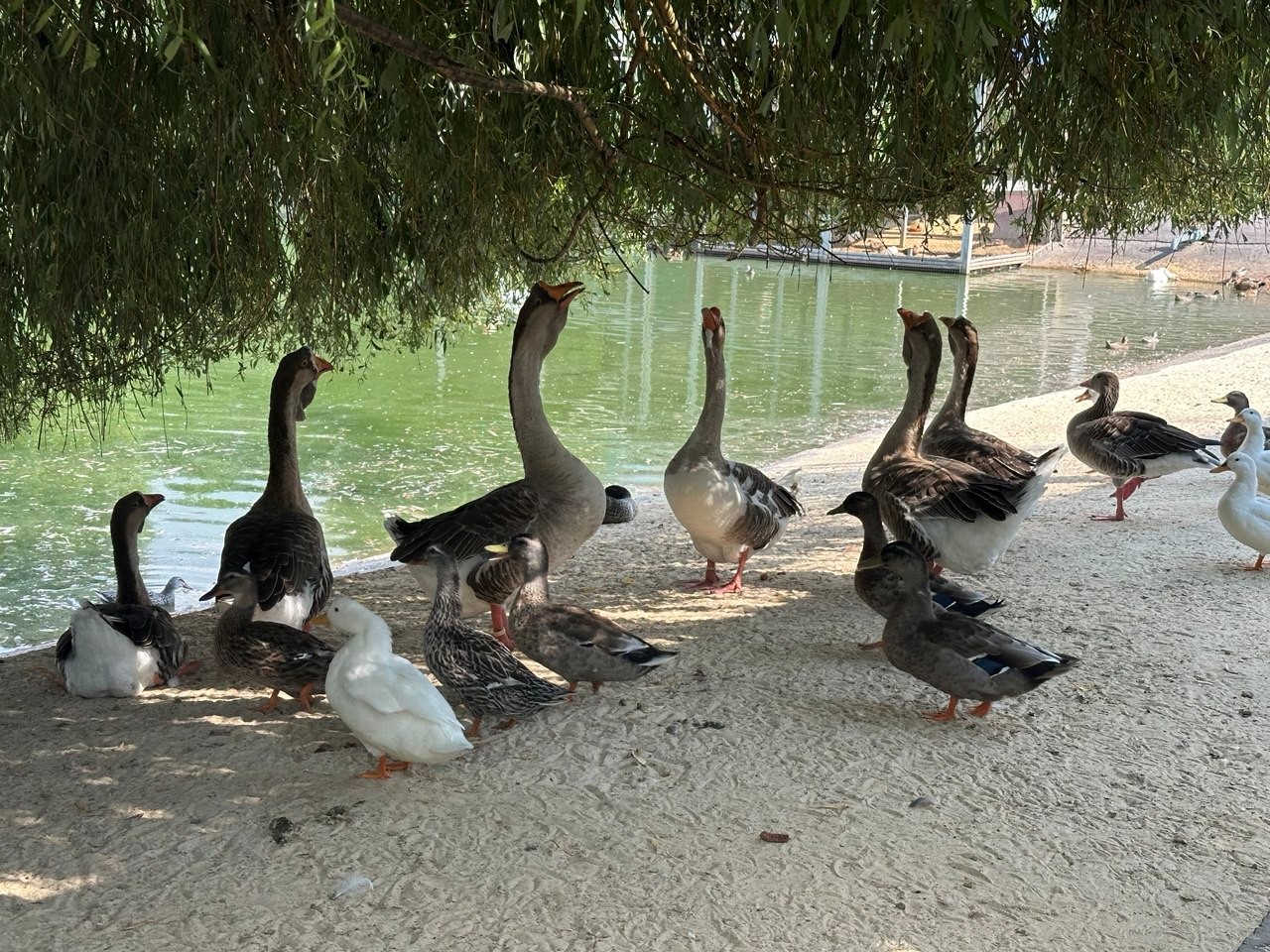 Среди кокса, шлака, валков и лебедей: день на металлургическом комбинате - 30
