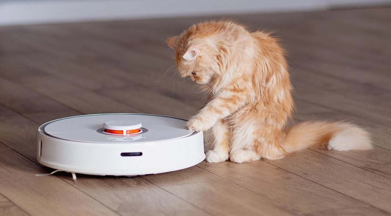 Робот-пылесос: враг или средство передвижения?