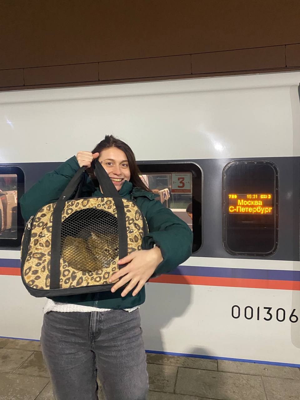 Как мы спасали семью из трех бездомных котиков, поселившихся на стройплощадке будущего дата-центра - 14 Как мы спасали семью из трех бездомных котиков, поселившихся на стройплощадке будущего дата-центра - 14