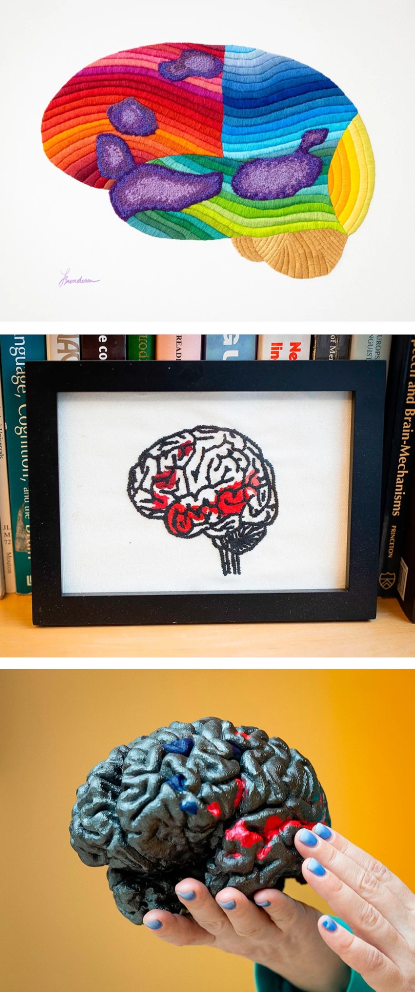 В кабинете Федоренко представлены три модели мозга, иллюстрирующие языковую сеть. Сверху вниз: фиолетовым цветом обозначена вышивка Лауры Бундесен; красным — вышивка крестиком Ханны Смолл; красным — модель, напечатанная на 3D-принтере.