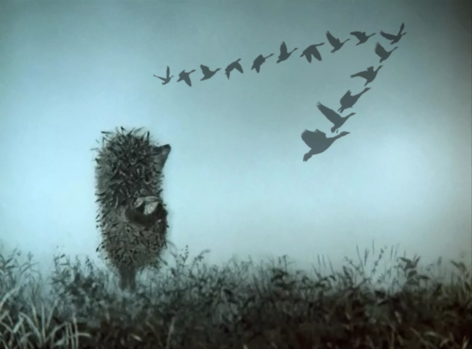 Мы останемся без глобальной сети, или когда настанет Сплитернет? - 1