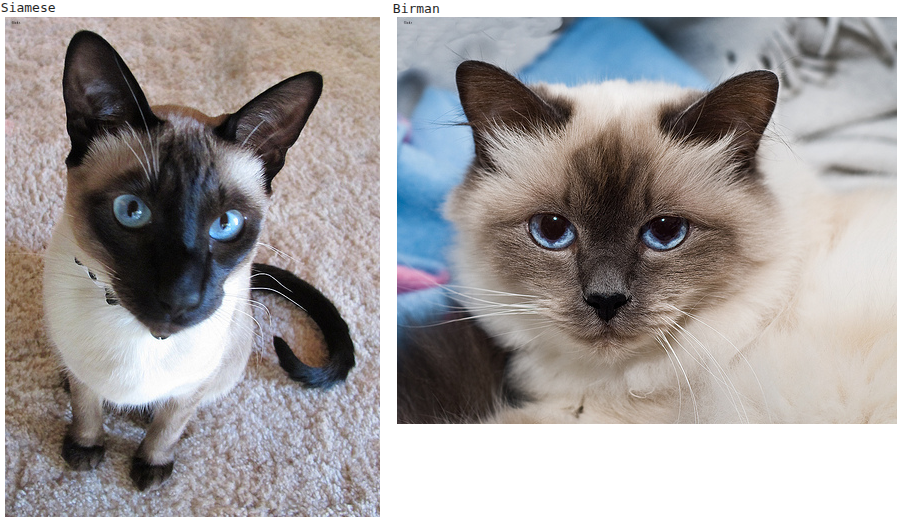 Устранение дисбаланса классов в PyTorch с помощью WeightedRandomSampler - 1 Устранение дисбаланса классов в PyTorch с помощью WeightedRandomSampler - 1