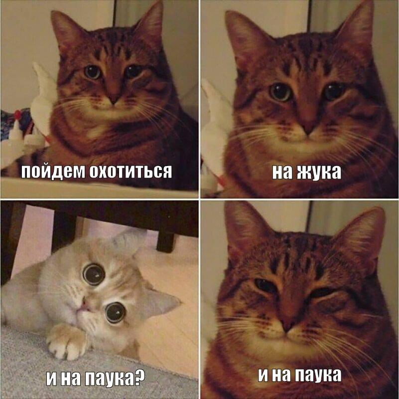 Мемы 2025 года: гиблификация, бобры и споры поколений - 10