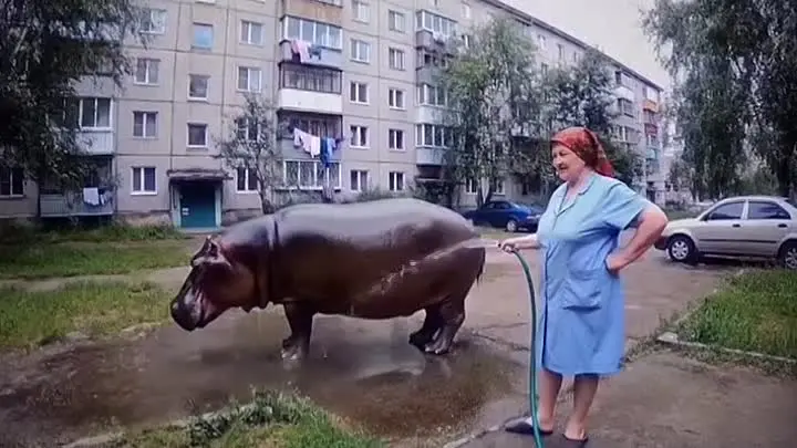 Один из классических примеров видеослопа 2025 года