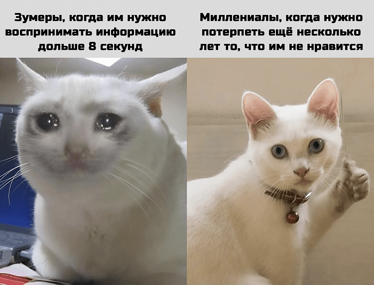 ... в том числе про зумеров