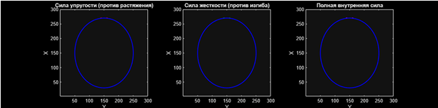 На данном графике представлена сеть жесткости (сила сопротивления изгибу) активного контура, действующая против деформаций, нарушающих плавность формы.  